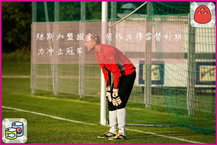 琼斯加盟掘金：将作为穆雷替补助力冲击冠军